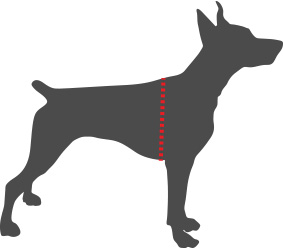 neck_size