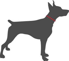 neck_size